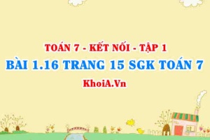 Bài 1.16 trang 15 SGK Toán 7 tập 1 Kết nối tri thức